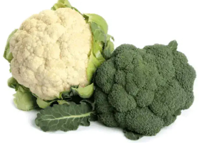 Immune system booster foods like Broccoli 