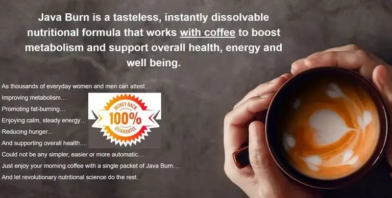 Java Burn review